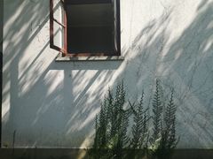 -苏州图书馆(人民路总馆)