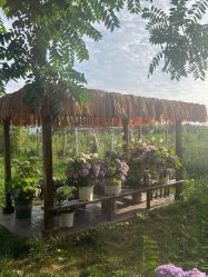 -DORA kids 朵拉儿童摄影花园店