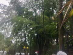 -花水湾第一村温泉大酒店