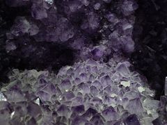 -正佳自然科学博物馆