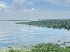 -渔娘蟹庄(阳澄湖莲花岛店)