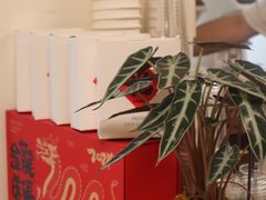 -本無咖啡·BeanWood Coffee
