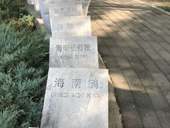 -北京麋鹿生态实验中心