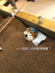 -敖东酵素·离子暖房