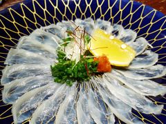 河豚刺身-桥岚·巷子鲜河豚鱼(专门店)