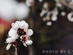 -门城湖公园