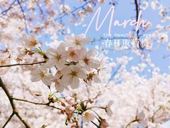 -龙美术馆(西岸馆)