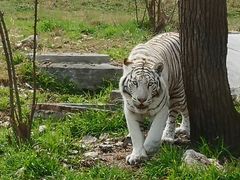 -西安秦岭野生动物园