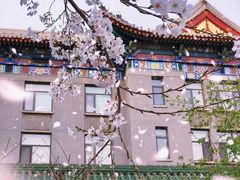 -庐灶江南·江南菜·四合院Bistro(东直门雍和宫·原华侨宾馆店)