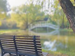 -上海共青森林公园