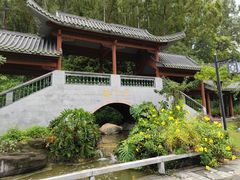 -广州神农草堂中医药博物馆