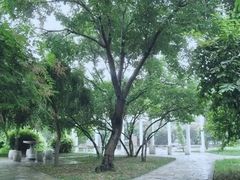 -北京师范大学附属中学