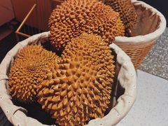 -邹开喜·炭炉鸡煲·海鲜火锅(虹口足球场店)