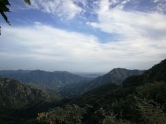 -大岭沟猕猴桃谷风景区