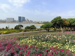 -立新湖公园