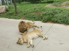 -西安秦岭野生动物园
