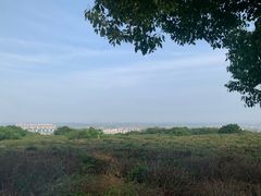 -南京市江宁方山