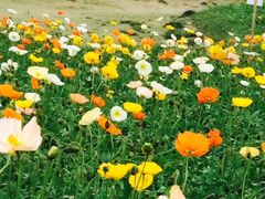 -白鹭湾湿地公园