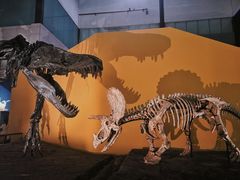 -湖南省地质博物馆