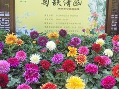 -陶然亭公园