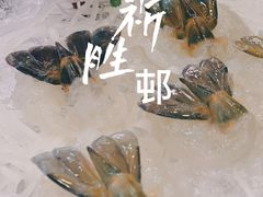 罗氏虾生-祈胜邨•顺德鱼生•顺德菜(容桂店)