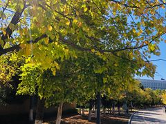 -长春世界雕塑园冰雪艺术天地