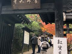 -常寂光寺