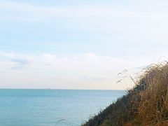 景点-燕儿岛山公园