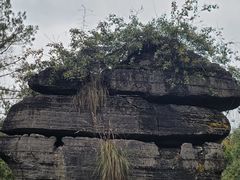 -梭布垭石林景区