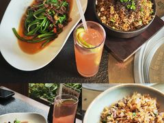 -菌自由丨野生菌火锅特色庭院餐厅(丽江古城店)