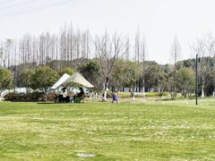 -昆山城市生态森林公园