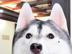 -观桥阁(锦溪店)