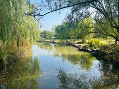 -上海滨江森林公园