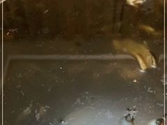 -御鼎田园鸡(伴山名都店)