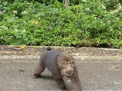 -西岭雪山大飞水景区