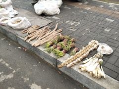 -蒲河大集