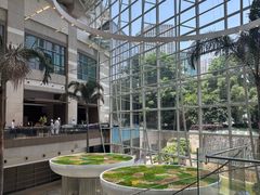 -上海外滩茂悦大酒店