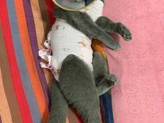 -美迦爱-牙专科·兔科·骨科诊疗中心(北苑店)