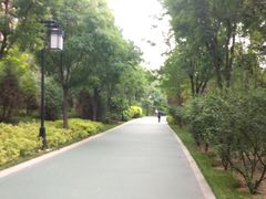-迎泽公园