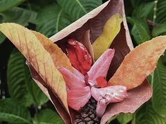 -国家植物园(地铁站)