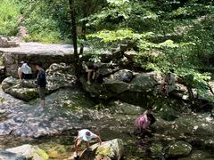-少华山国家森林公园