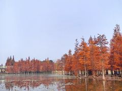 -白鹭湾湿地公园