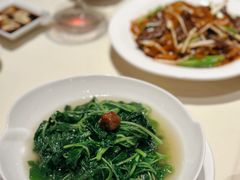 上汤蒜子泡苋菜-利苑酒家(华熙国际店)