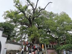 -新安江山水画廊风景区