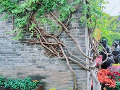 -回龙窝历史文化街区