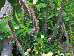 -国家植物园南园