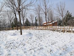 -东郊湿地公园