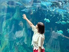 -波塞冬海底世界