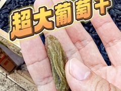 -新疆红山干果市场