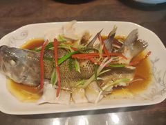 -田螺阿姨自营月嫂·育儿嫂(高新店)